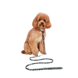 Black and White Portrait Graphic Nylon Pet Cat Collar with Leash Set, Cat Leash Walking Cat Artifact